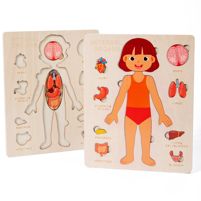 Human Body Puzzle - Kids Wood Montessori Toys Human Body