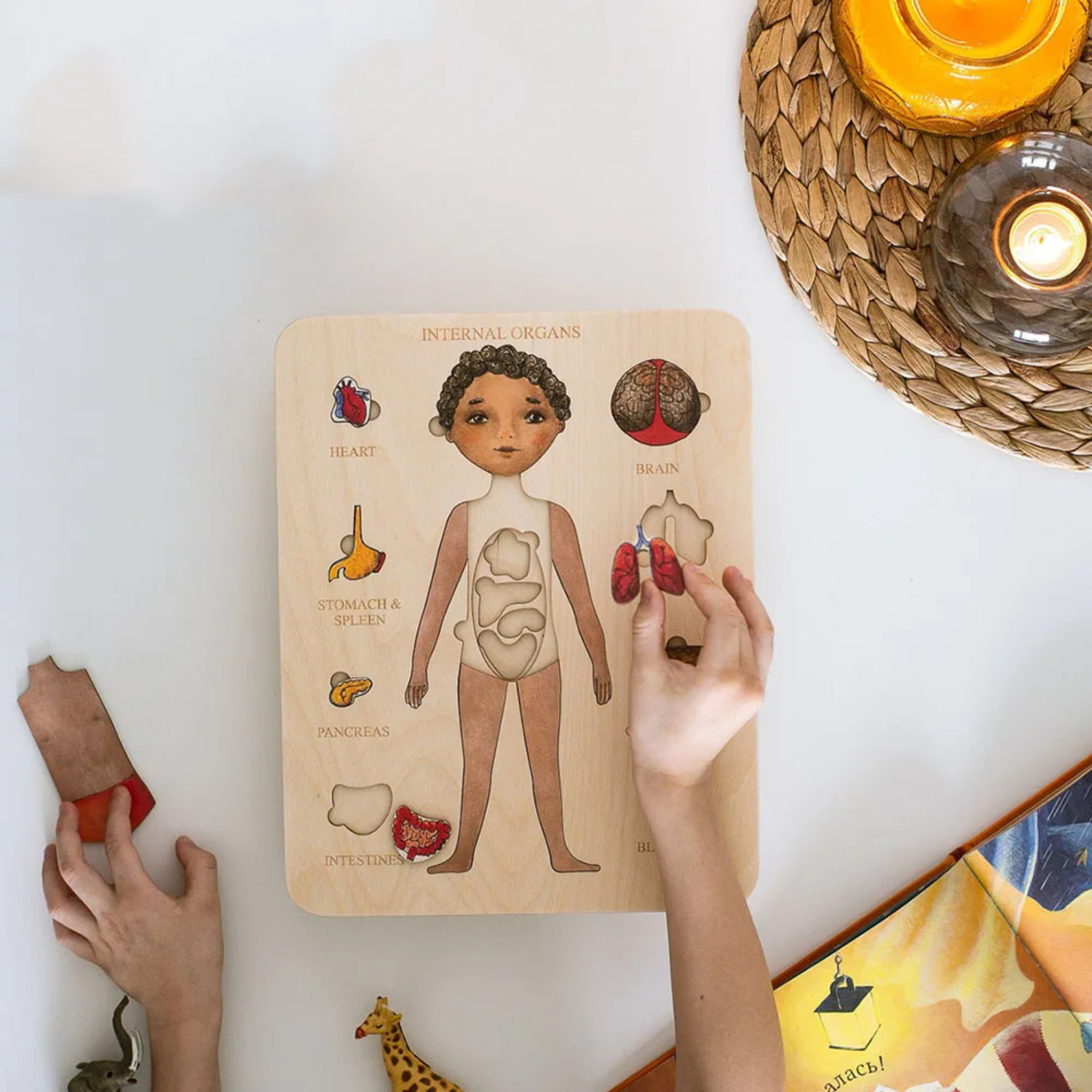 Human Body Puzzle - Montessori Wooden Puzzle Male Female Human