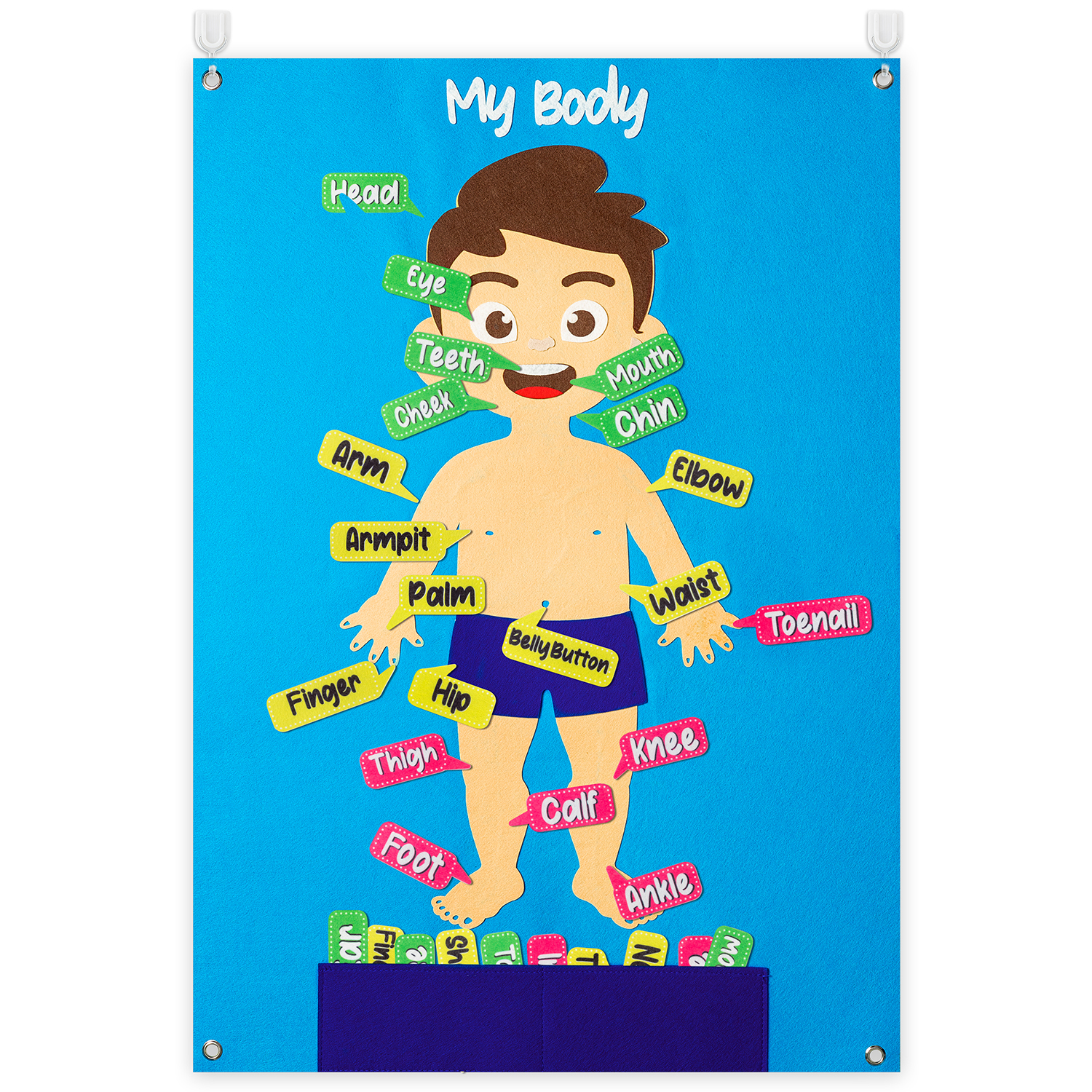 Human Body Puzzle - 35Pcs Body Awareness Full Felt Storyboard