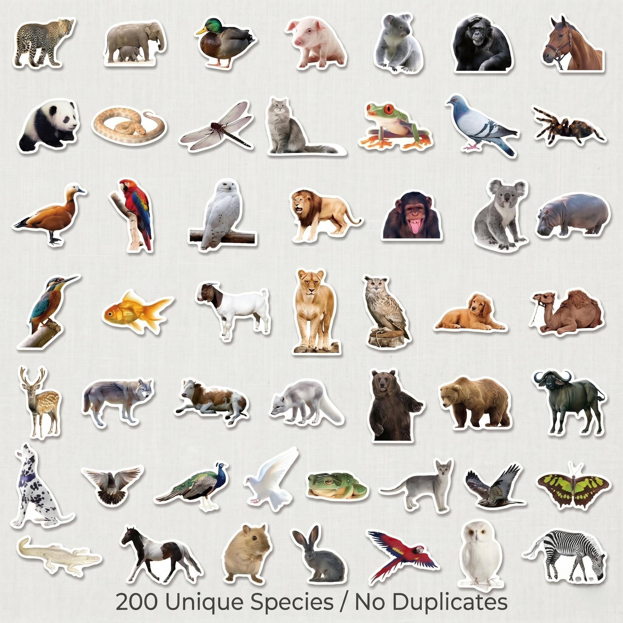 Kids Education Laptop - 50/200Pcs Realistic Animal Stickers Wildlife Waterproof