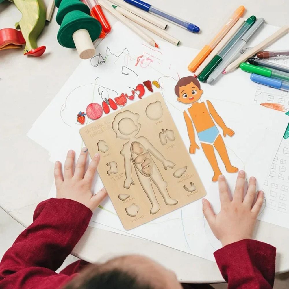Human Body Puzzle - NEW Learning Board Montessori Puzzles Educational