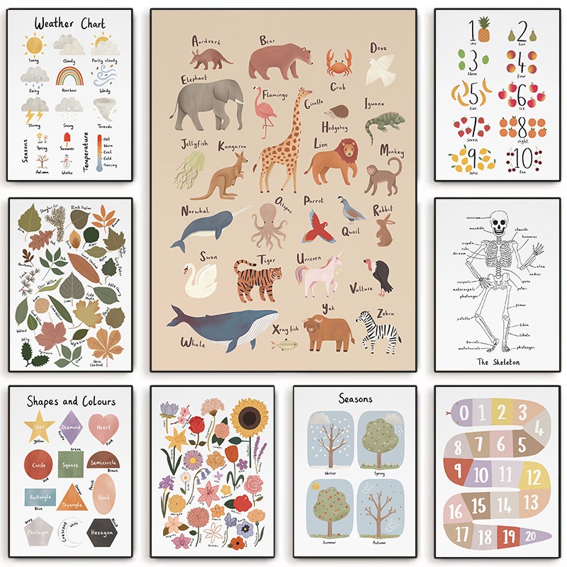 Kids Education Charts - Educational Animal Alphabet Wall Art Seasons