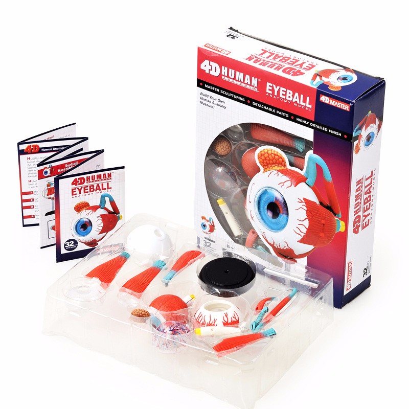 Human Body Puzzle - Eyeball 4D Master Puzzle Assembling Toy