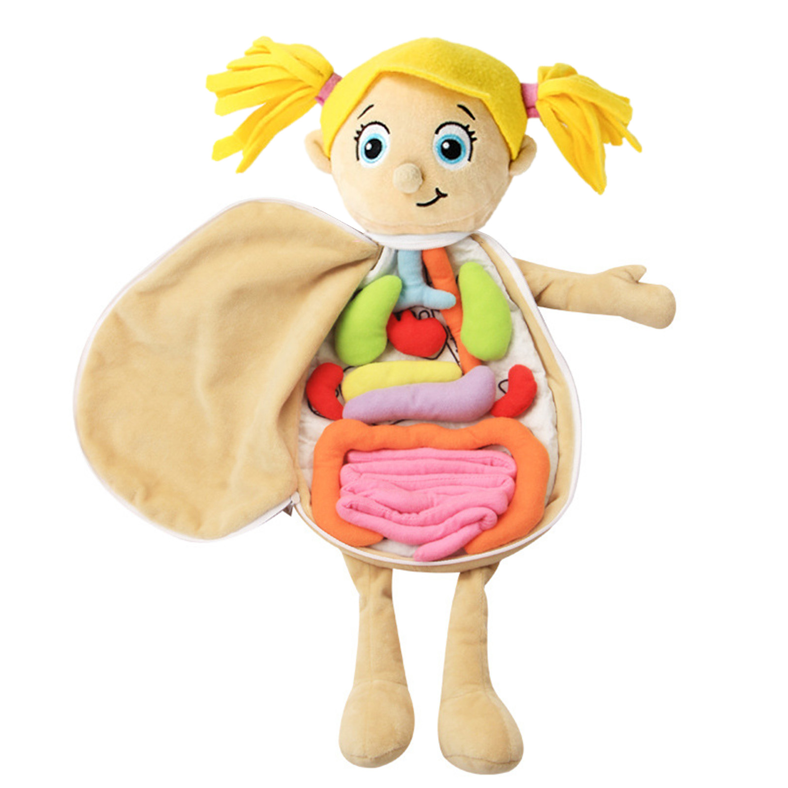 3D Organs Anatomy Model Toy Bo - Human Body Puzzle recensione e prezzo