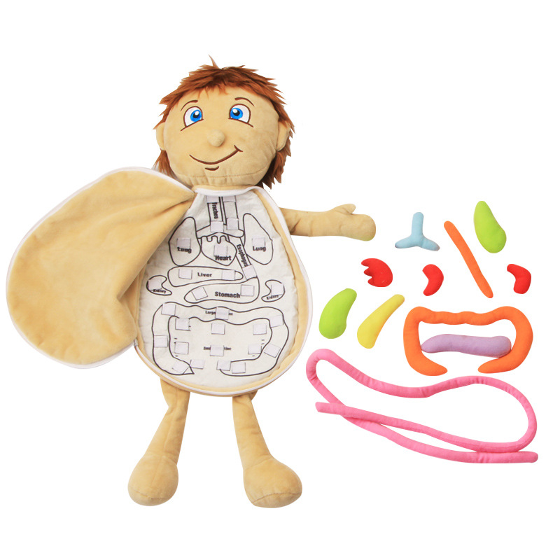Human Viscera Cognitive Kid 3D - Human Body Puzzle recensione e prezzo