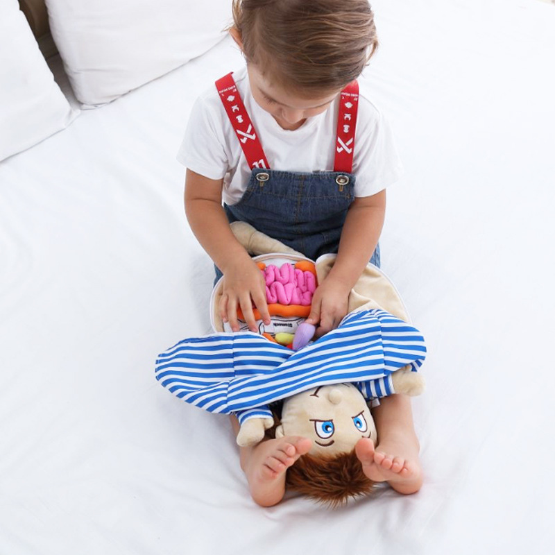 Human Viscera Cognitive Kid 3D - Human Body Puzzle recensione e prezzo