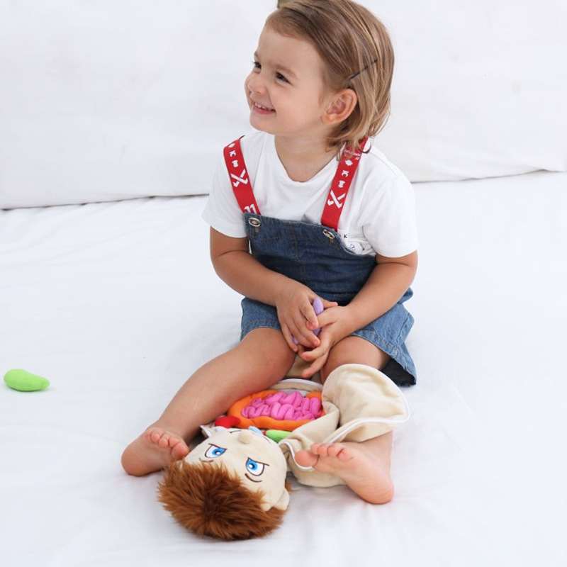 Human Viscera Cognitive Kid 3D - Human Body Puzzle recensione e prezzo