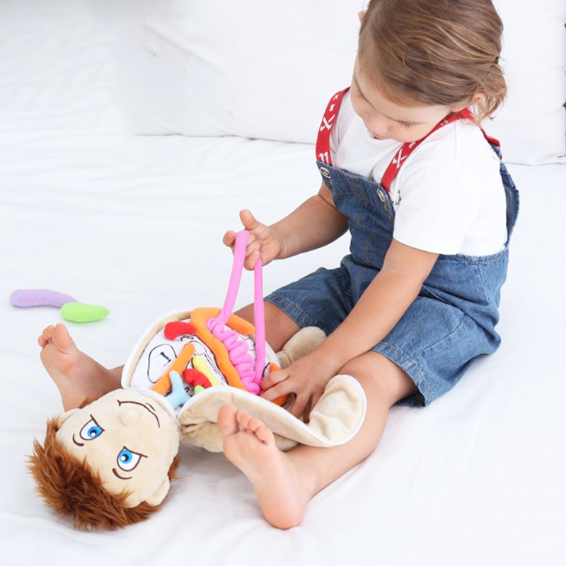 Human Viscera Cognitive Kid 3D - Human Body Puzzle recensione e prezzo