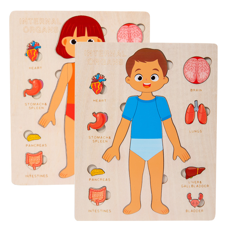 Kids Wood Montessori Toys Huma - Human Body Puzzle recensione e prezzo