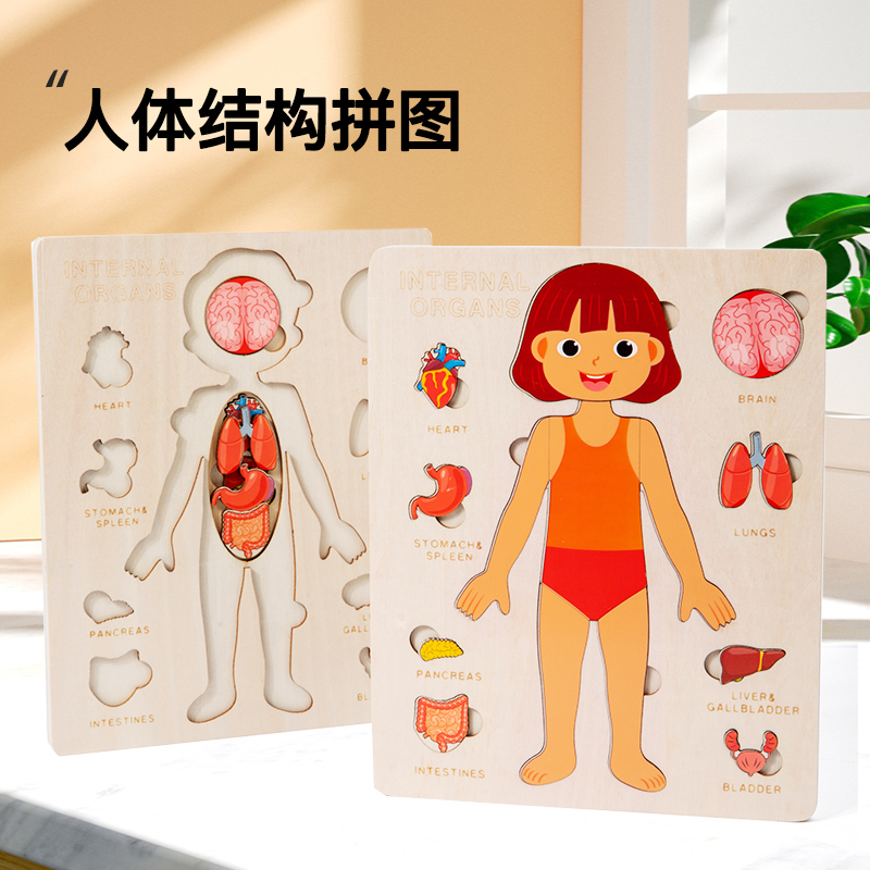 Kids Wood Montessori Toys Huma - Human Body Puzzle recensione e prezzo