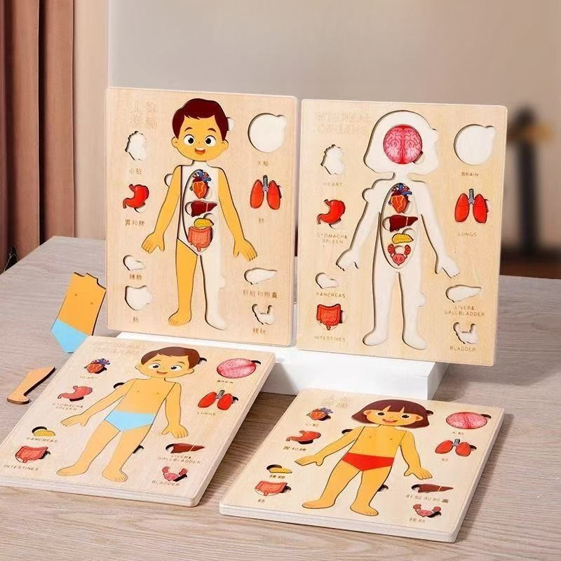 Montessori Puzzles Busy Board  - Human Body Puzzle recensione e prezzo