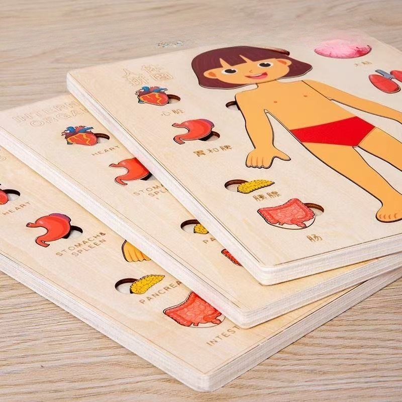 Montessori Puzzles Busy Board  - Human Body Puzzle recensione e prezzo