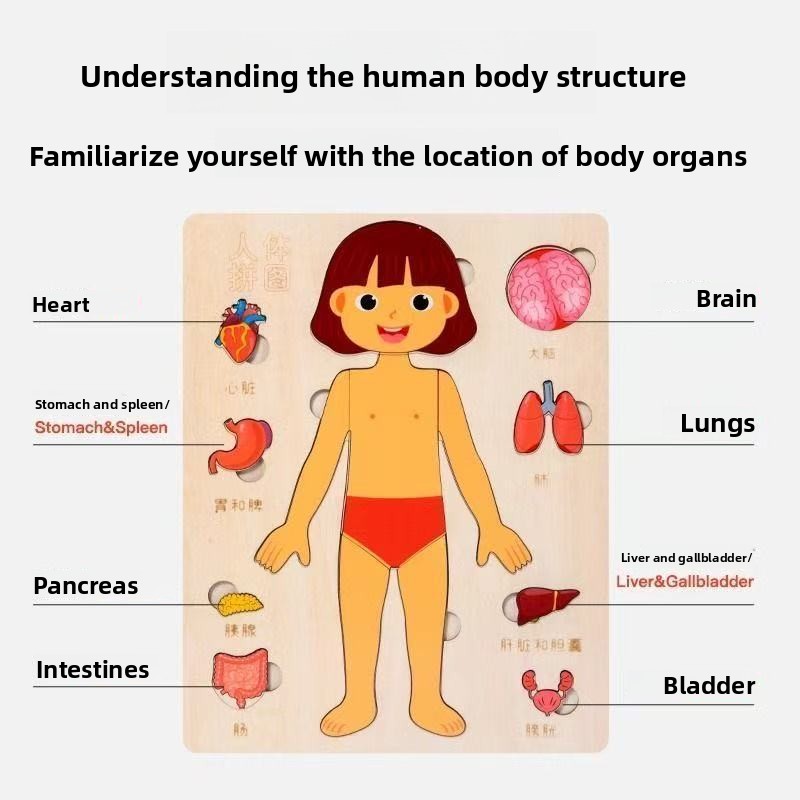 Montessori Puzzles Busy Board  - Human Body Puzzle recensione e prezzo