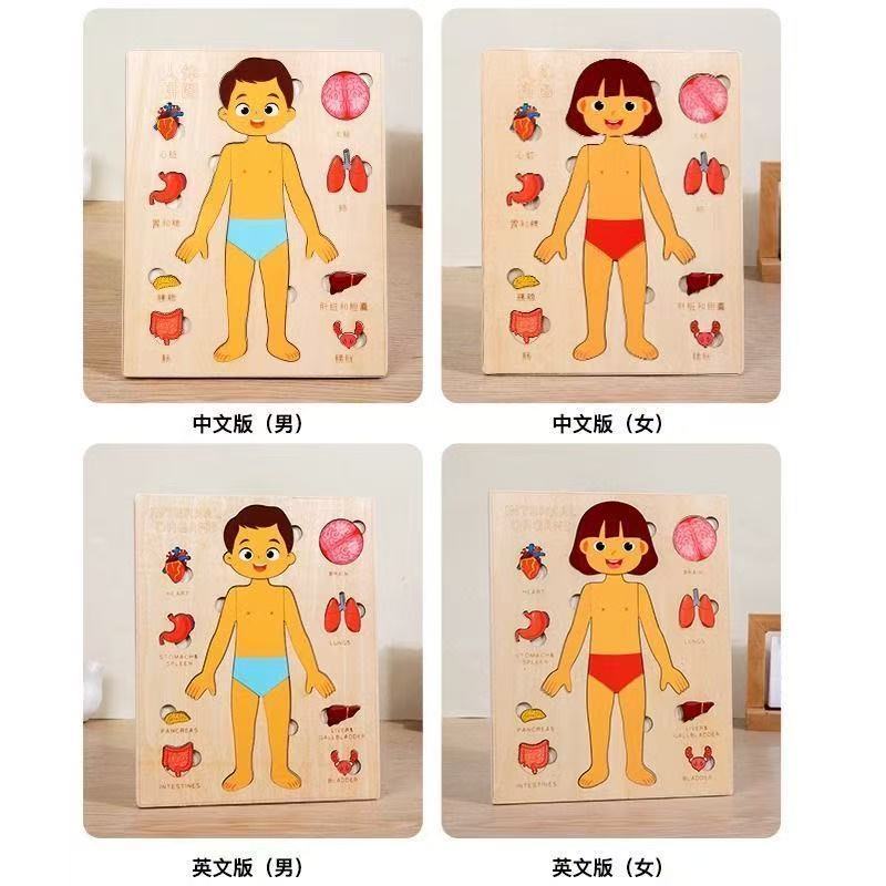 Montessori Puzzles Busy Board  - Human Body Puzzle recensione e prezzo