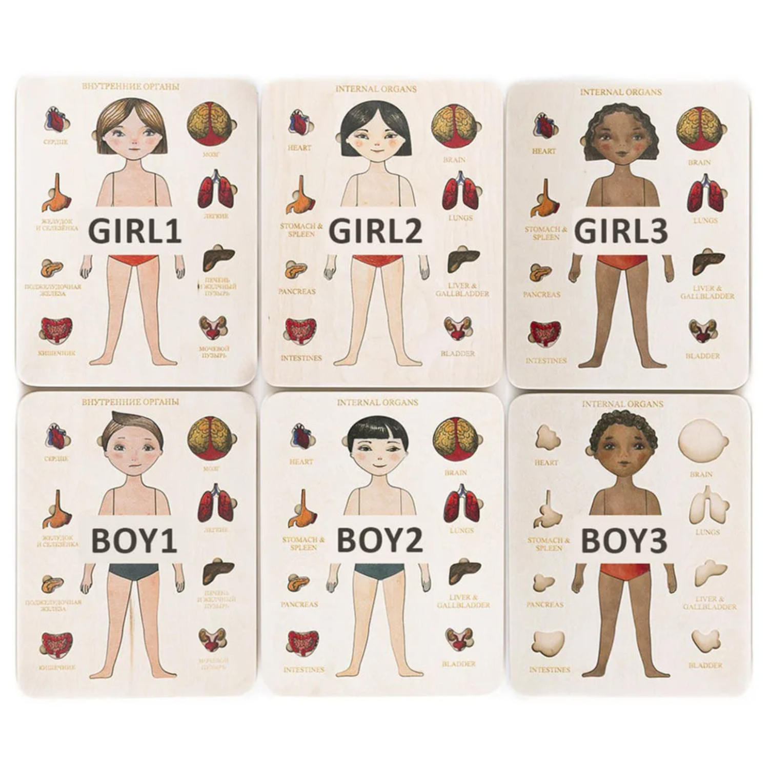 Montessori Wooden Puzzle Male  - Human Body Puzzle recensione e prezzo