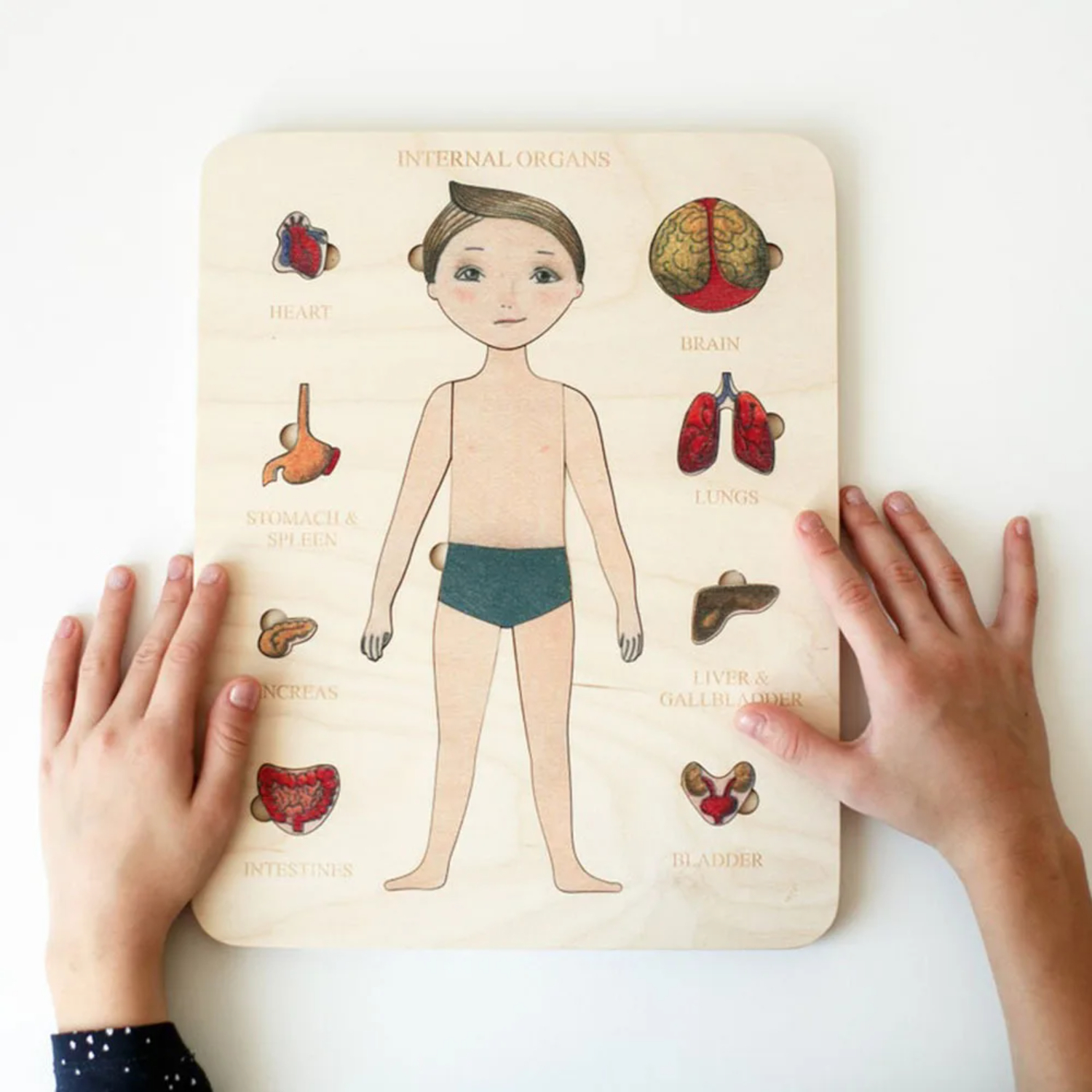 Montessori Wooden Puzzle Male  - Human Body Puzzle recensione e prezzo