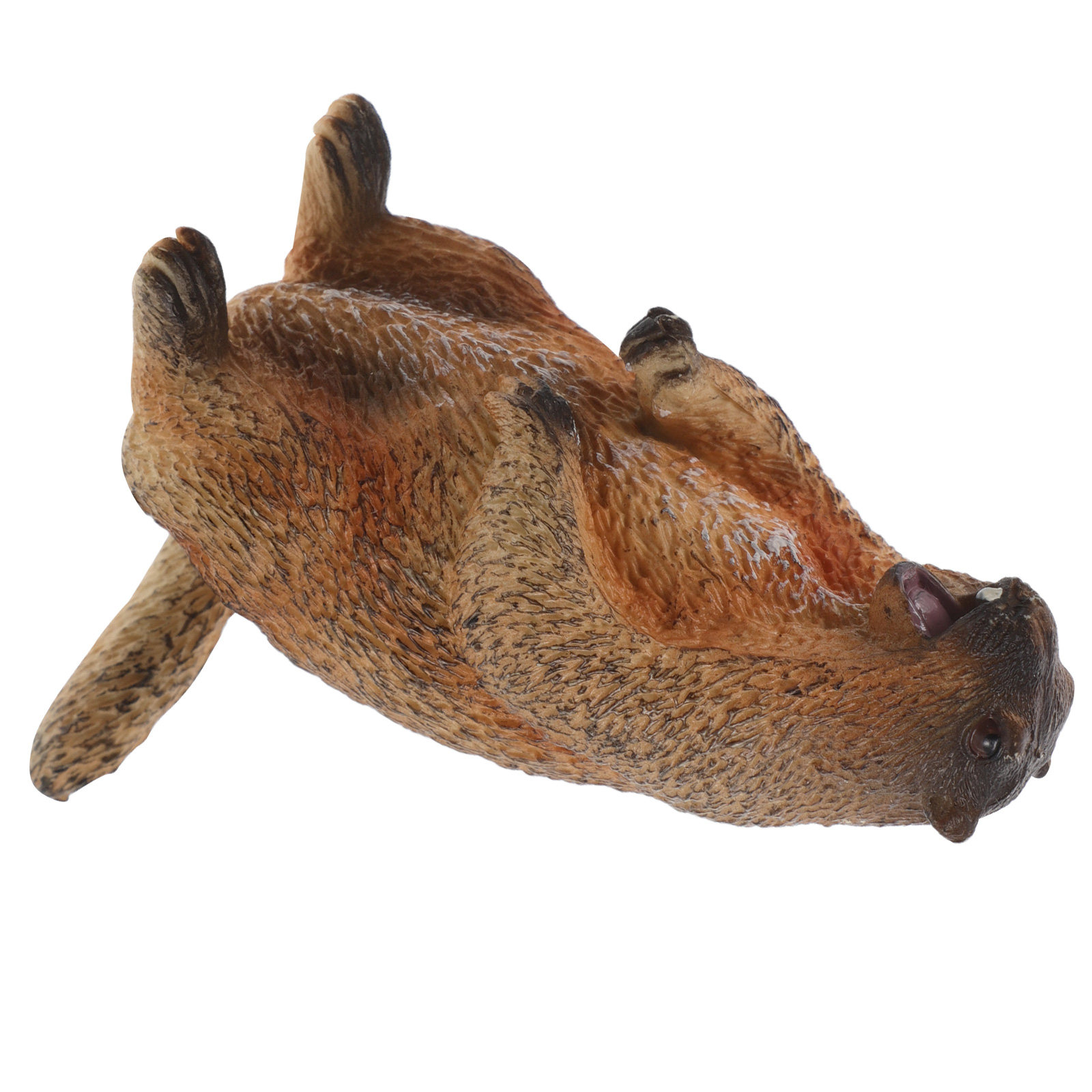 Standing Groundhog Wild Animal - Kids Education Room recensione e prezzo