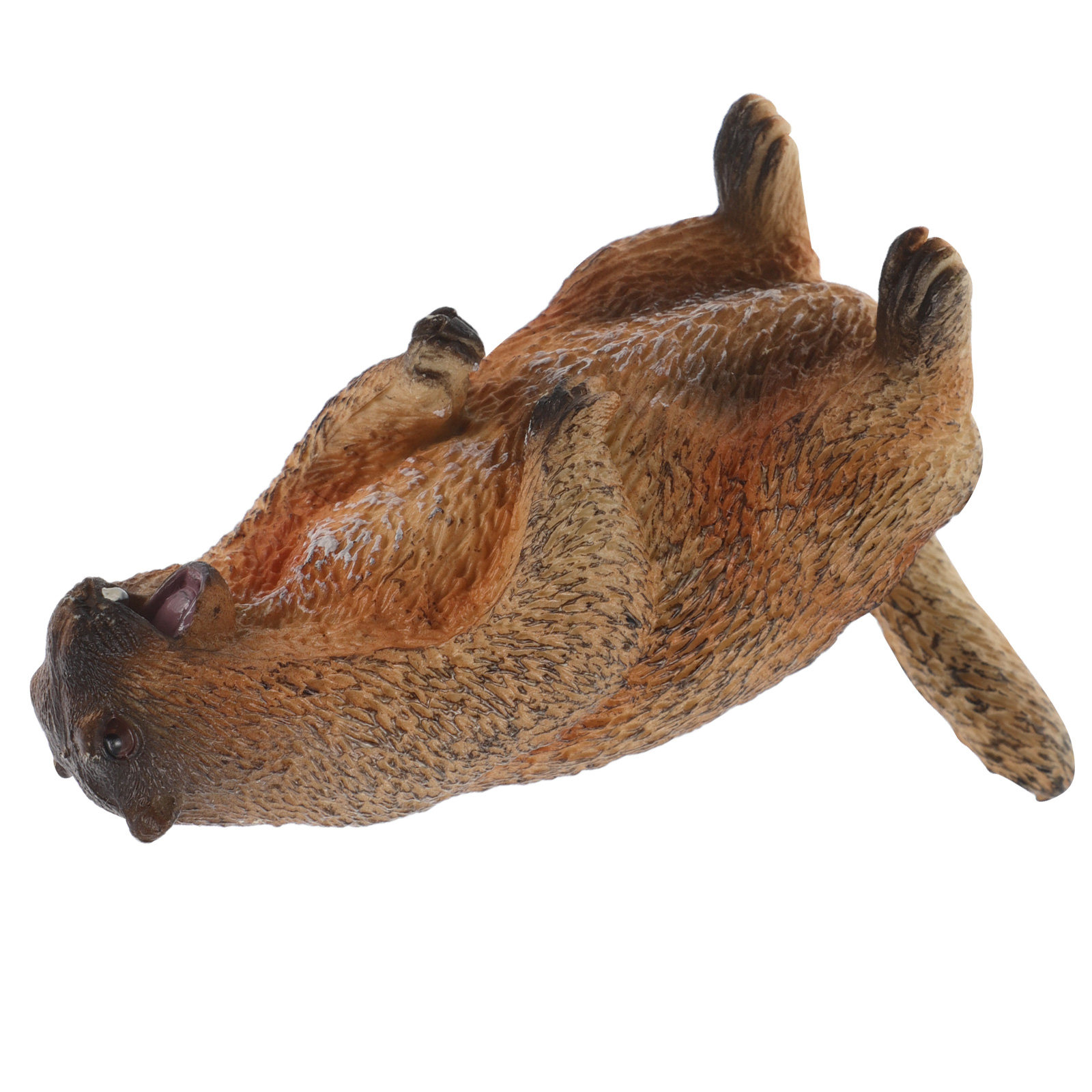 Standing Groundhog Wild Animal - Kids Education Room recensione e prezzo