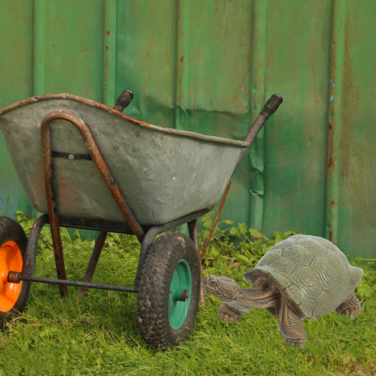Simulation Turtle Animal Figur - Kids Education Room recensione e prezzo