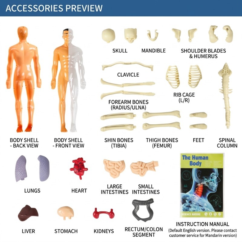 Primary School DIY Human Body  - Human Body Puzzle recensione e prezzo