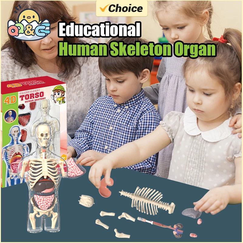 STEM Cognitive Science and Edu - Human Body Puzzle recensione e prezzo