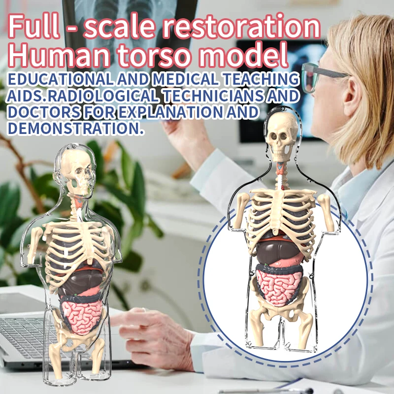 STEM Cognitive Science and Edu - Human Body Puzzle recensione e prezzo
