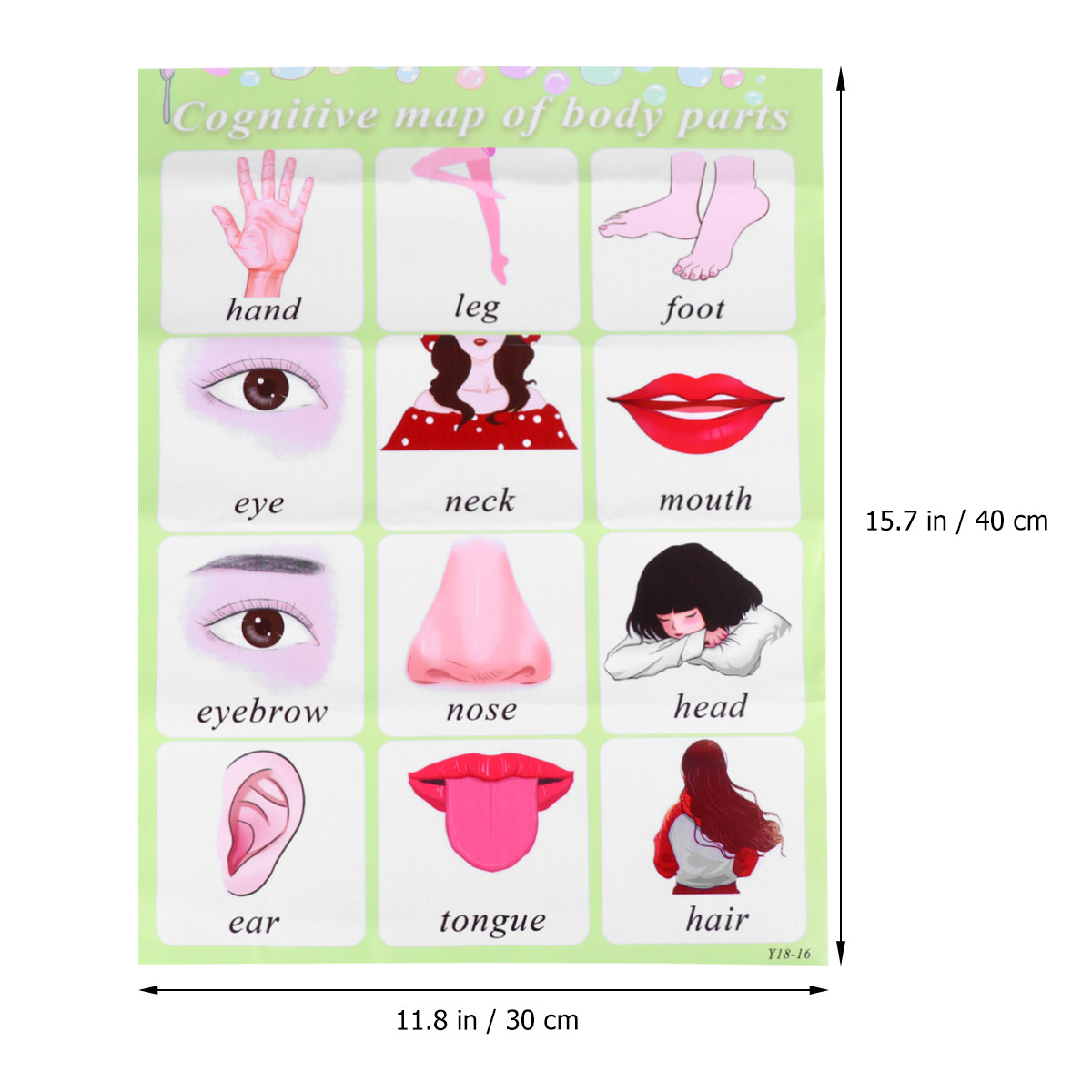 English Learning Wall Chart fo - Kids Education Charts recensione e prezzo