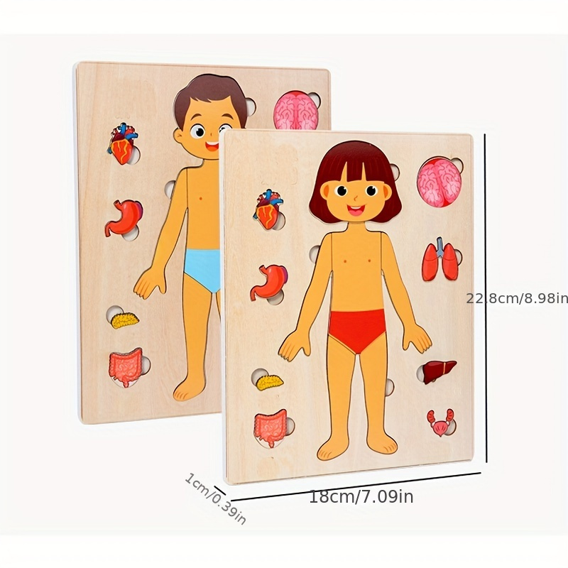 Human Body Puzzles for Kids Wo - Human Body Puzzle recensione e prezzo
