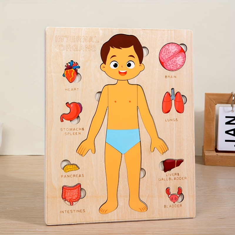 Human Body Puzzles for Kids Wo - Human Body Puzzle recensione e prezzo