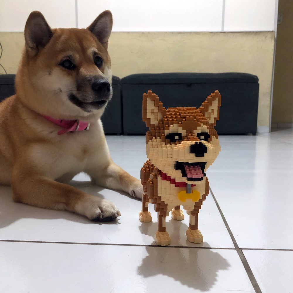 KNEW BUILT Shiba Inu Dogs Mode - Kids Education And Recreation recensione e prezzo