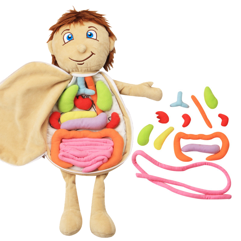 Kid 3D Puzzle Human Body  Mode - Human Body Puzzle recensione e prezzo