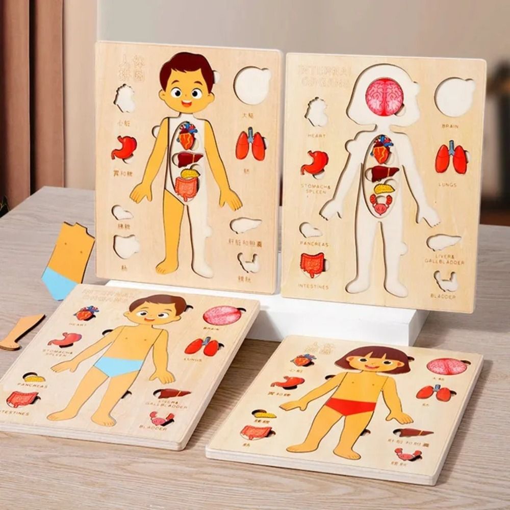 NEW Learning Board Montessori  - Human Body Puzzle recensione e prezzo