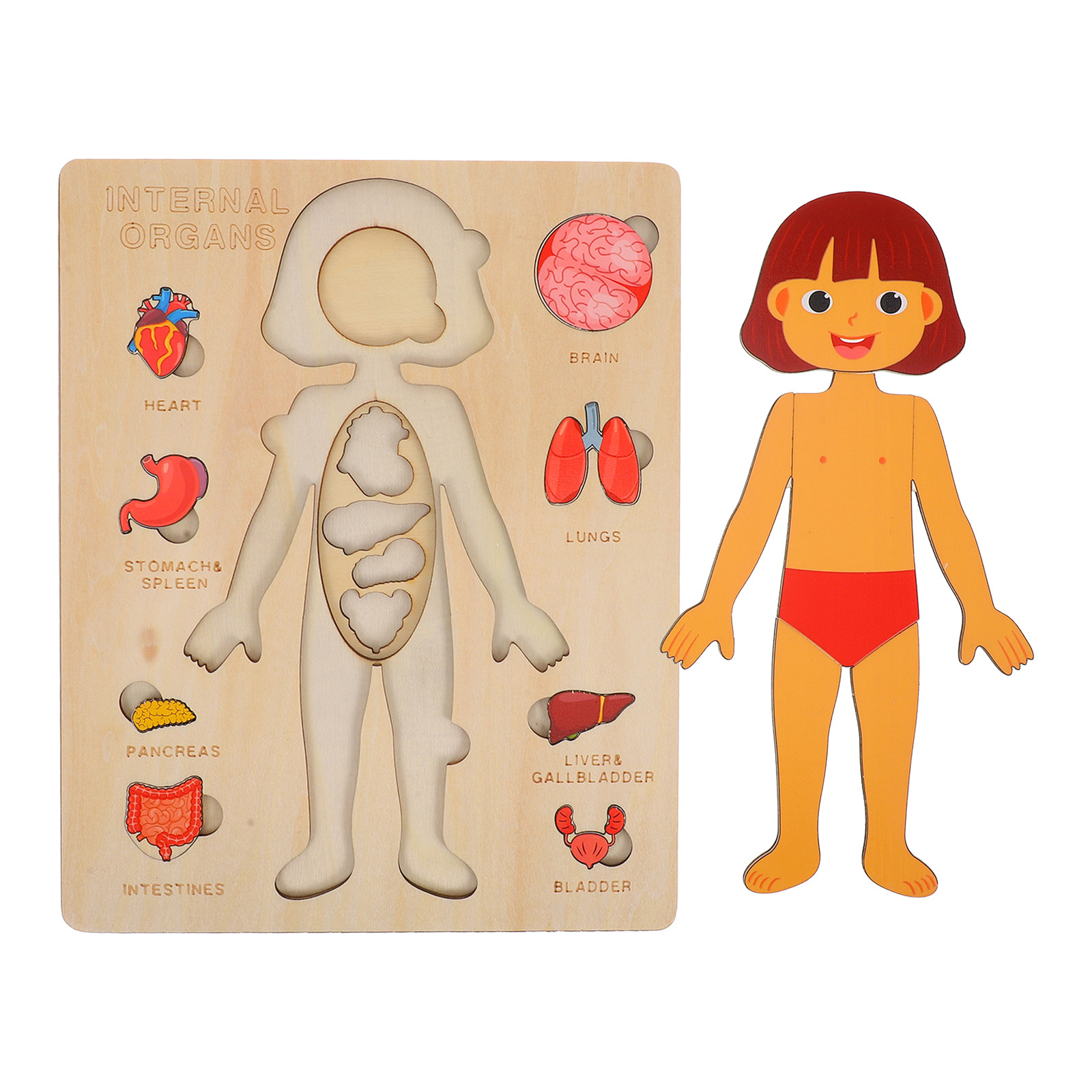 1 set 1 Set Wooden Puzzle Educ - Human Body Puzzle recensione e prezzo