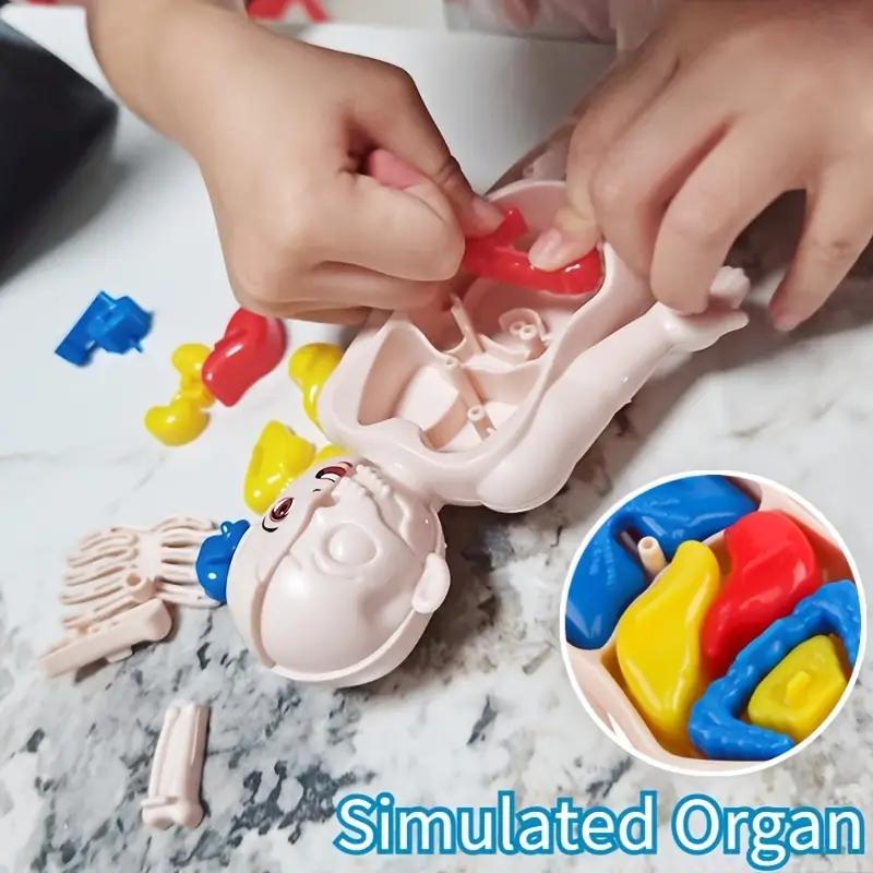 14PCS/Set 3D Puzzle Human Anat - Human Body Puzzle recensione e prezzo