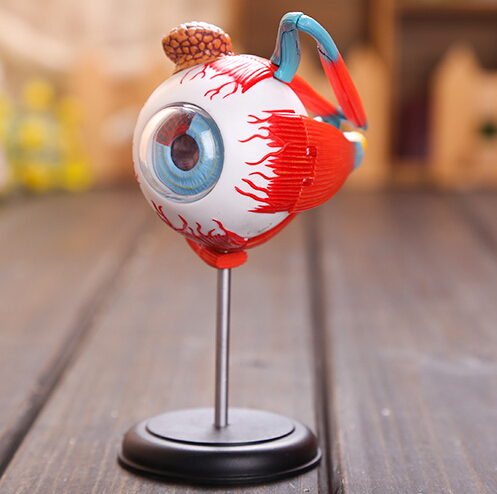 Eyeball 4D Master Puzzle Assem - Human Body Puzzle recensione e prezzo