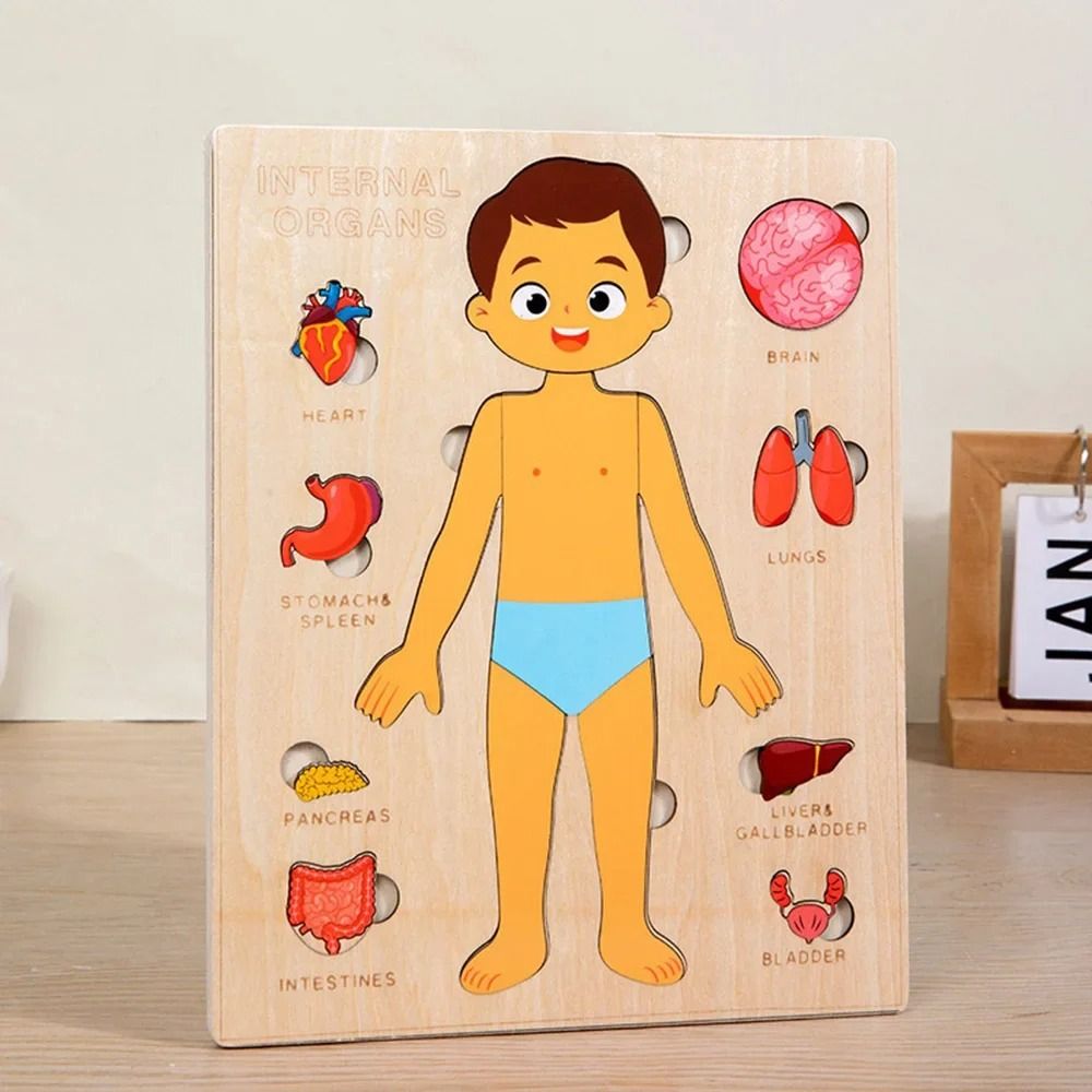 NEW Learning Board Montessori  - Human Body Puzzle recensione e prezzo