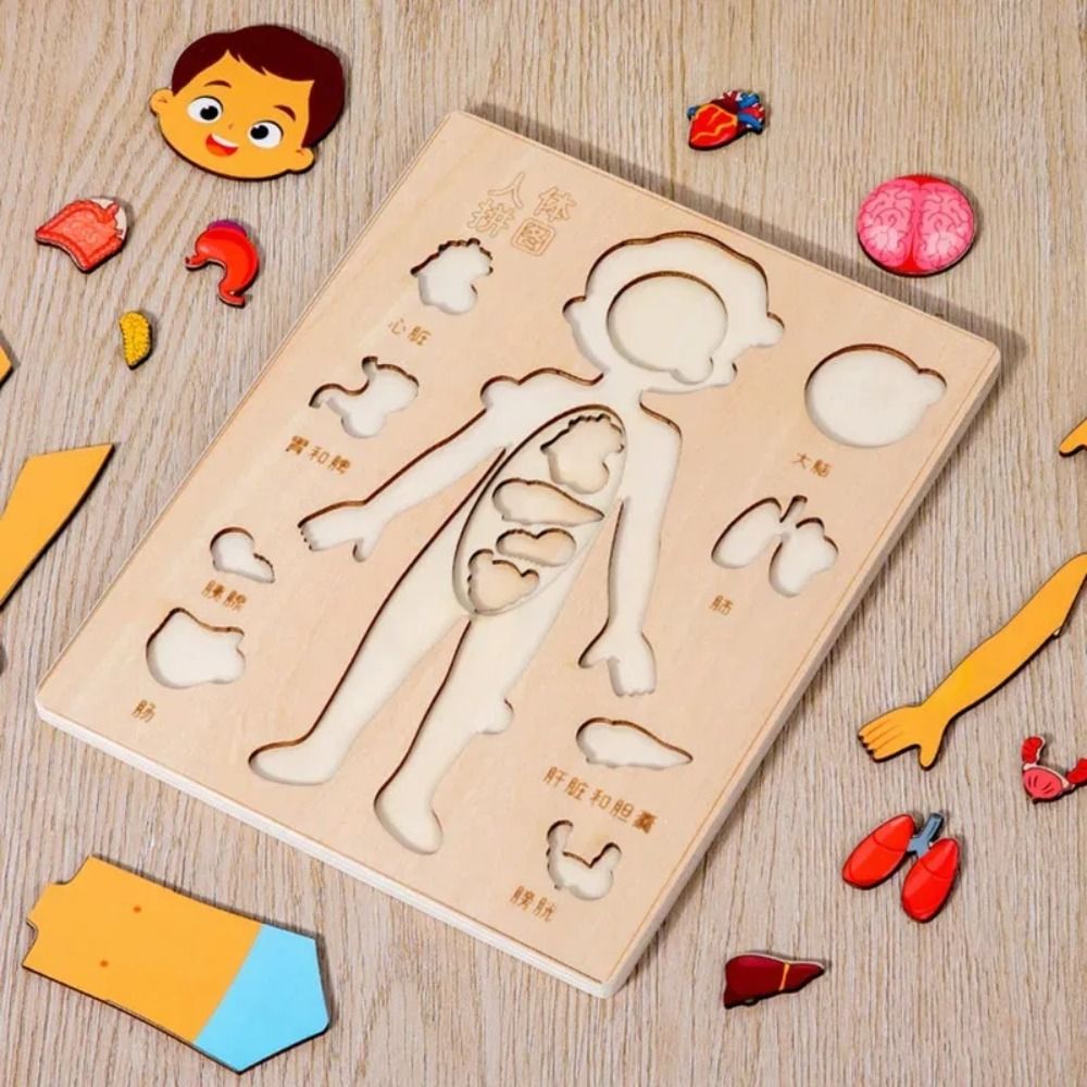 NEW Learning Board Montessori  - Human Body Puzzle recensione e prezzo