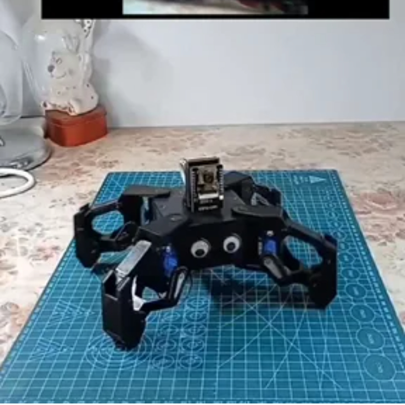 SG90 Video Robot Spider with C - Coding Robot Toy recensione e prezzo