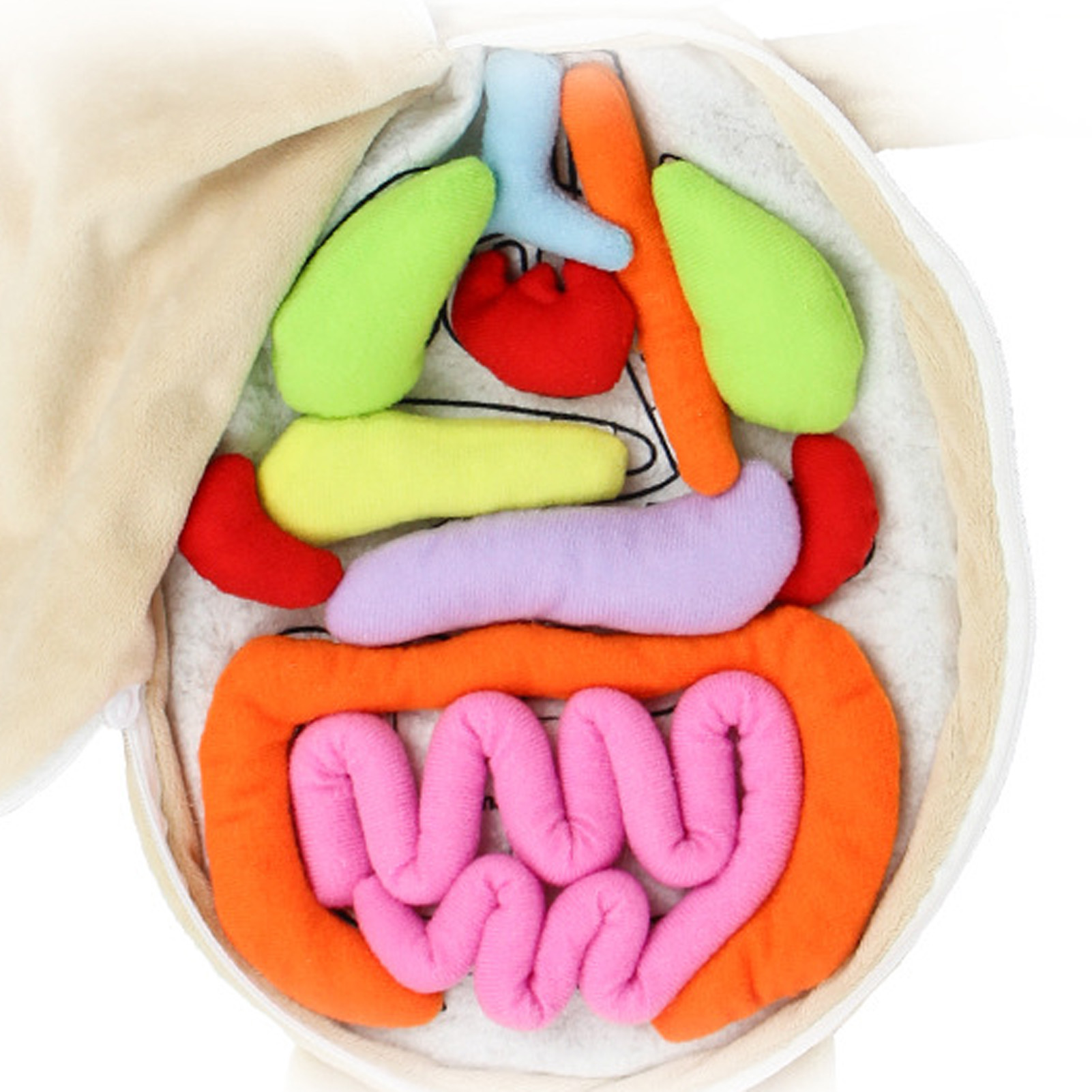 Kid Montessori Toys 3D Puzzle  - Human Body Puzzle recensione e prezzo