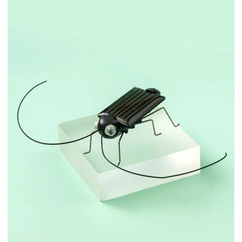 Solar Powered Locust Grasshopp - Kingdom Kids Education recensione e prezzo