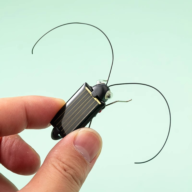 Solar Powered Locust Grasshopp - Kingdom Kids Education recensione e prezzo