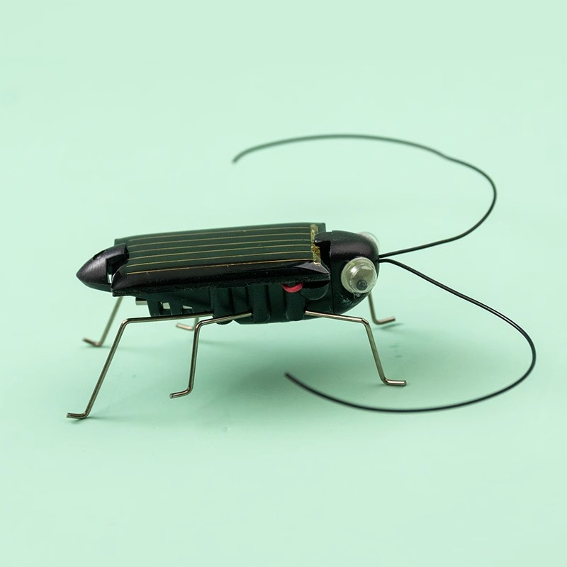 Solar Powered Locust Grasshopp - Kingdom Kids Education recensione e prezzo