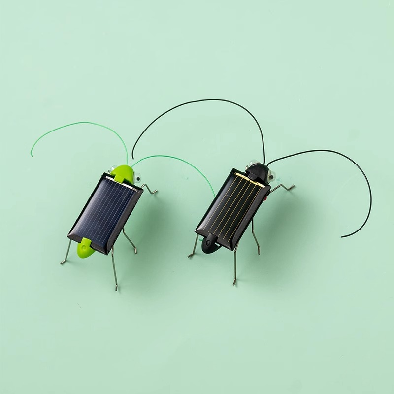 Solar Powered Locust Grasshopp - Kingdom Kids Education recensione e prezzo